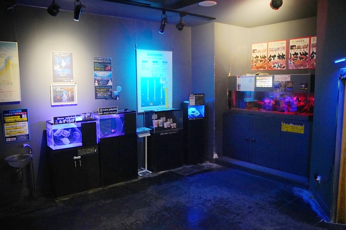 【鳥取親子景點推薦】鳥取賀露市場免費室內景點 螃蟹主題水族館 鳥取縣立鳥取賀露螃蟹兒童博物館(鳥取県立とっとり賀露かにっこ館)