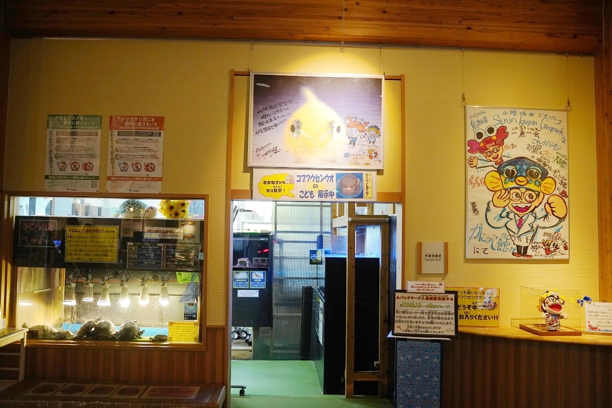 【鳥取親子景點推薦】鳥取賀露市場免費室內景點 螃蟹主題水族館 鳥取縣立鳥取賀露螃蟹兒童博物館(鳥取県立とっとり賀露かにっこ館)