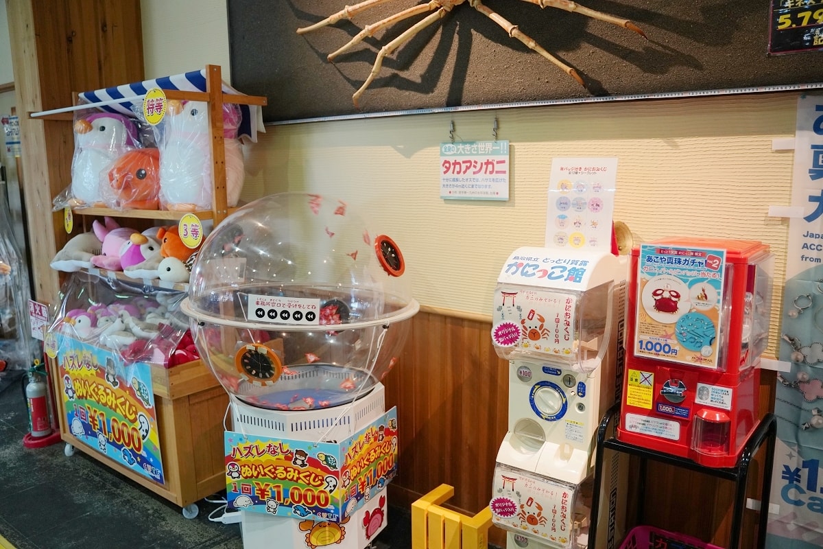 【鳥取親子景點推薦】鳥取賀露市場免費室內景點 螃蟹主題水族館 鳥取縣立鳥取賀露螃蟹兒童博物館(鳥取県立とっとり賀露かにっこ館)