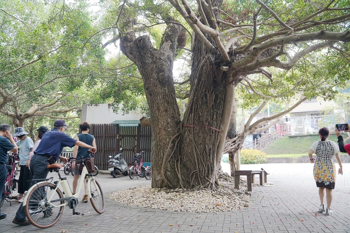 【台中豐原免費景點推薦】臺鐵舊山線自行車專用道 人氣景點花梁鋼橋/9號隧道必訪 后豐鐵馬道