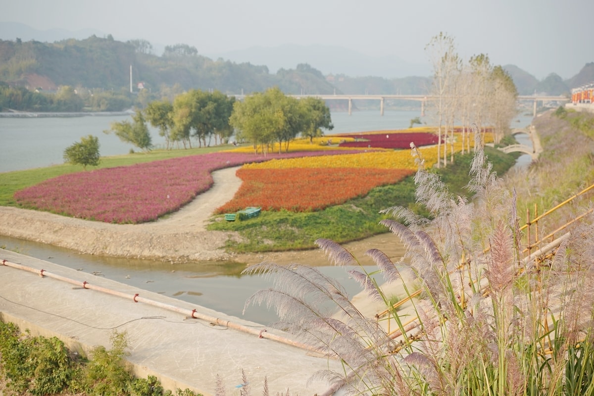 【洪江芳華年代】湖南懷化洪江工業文旅新空間 80年代懷舊工業風 丁字壩沙洲花海網美必訪