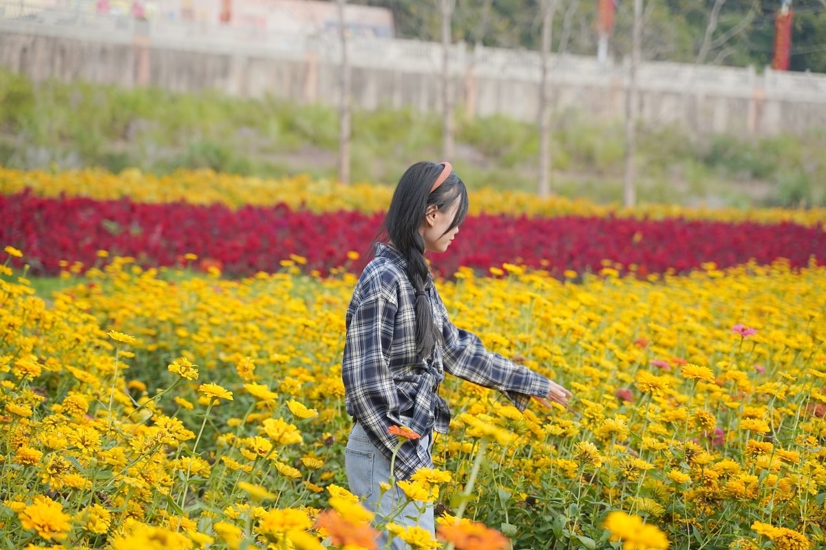 【洪江芳華年代】湖南懷化洪江工業文旅新空間 80年代懷舊工業風 丁字壩沙洲花海網美必訪