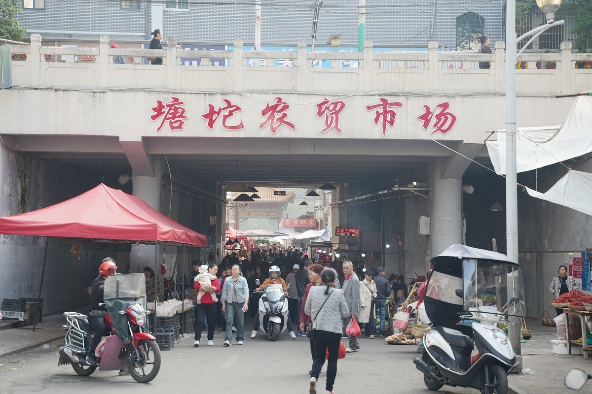 【塘坨農貿市場】湖南懷化洪江在地菜市場 洪江區標志性老牌農貿市場 洪江古商城旅遊必訪