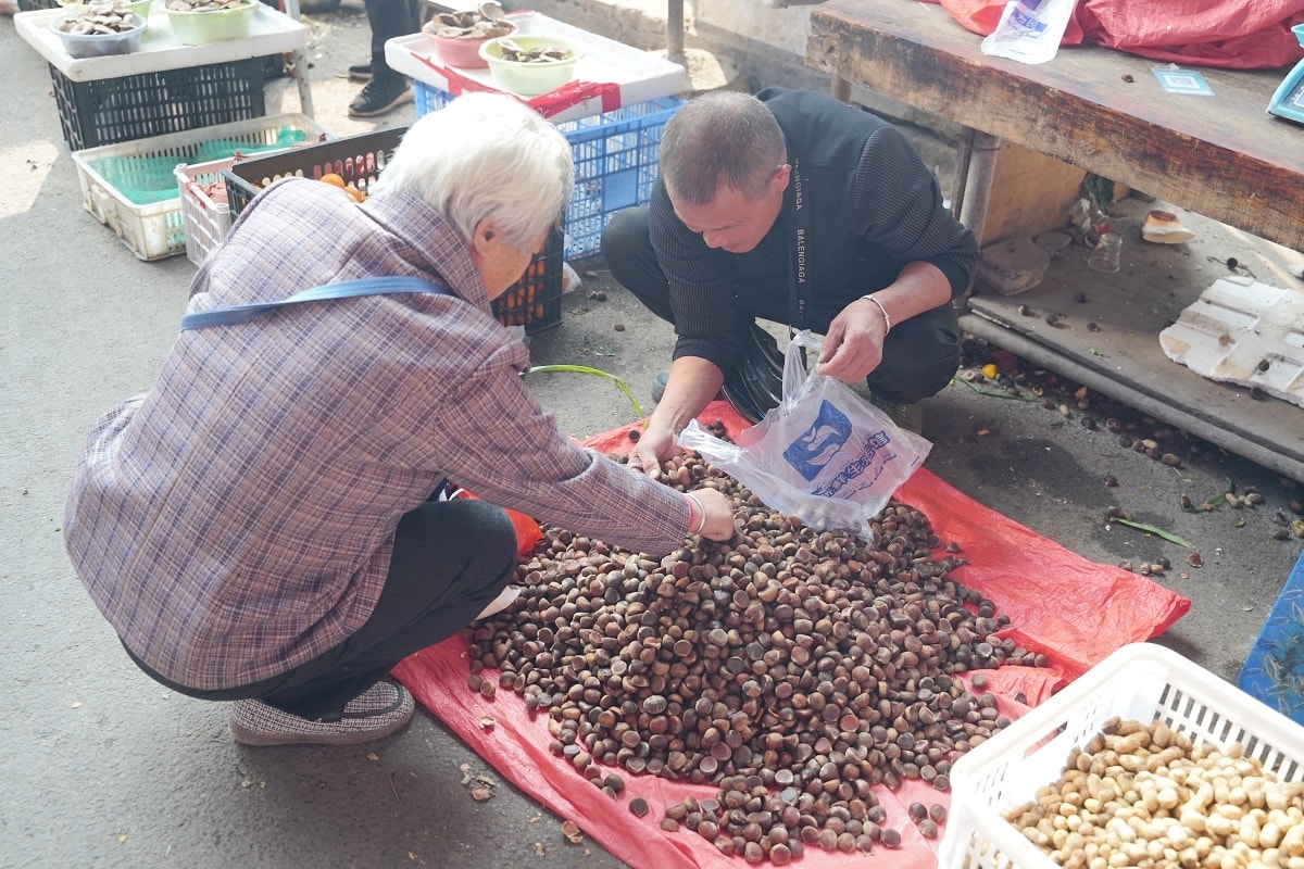 【塘坨農貿市場】湖南懷化洪江在地菜市場 洪江區標志性老牌農貿市場 洪江古商城旅遊必訪