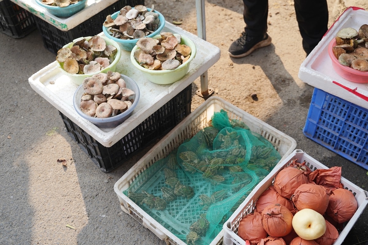 【塘坨農貿市場】湖南懷化洪江在地菜市場 洪江區標志性老牌農貿市場 洪江古商城旅遊必訪
