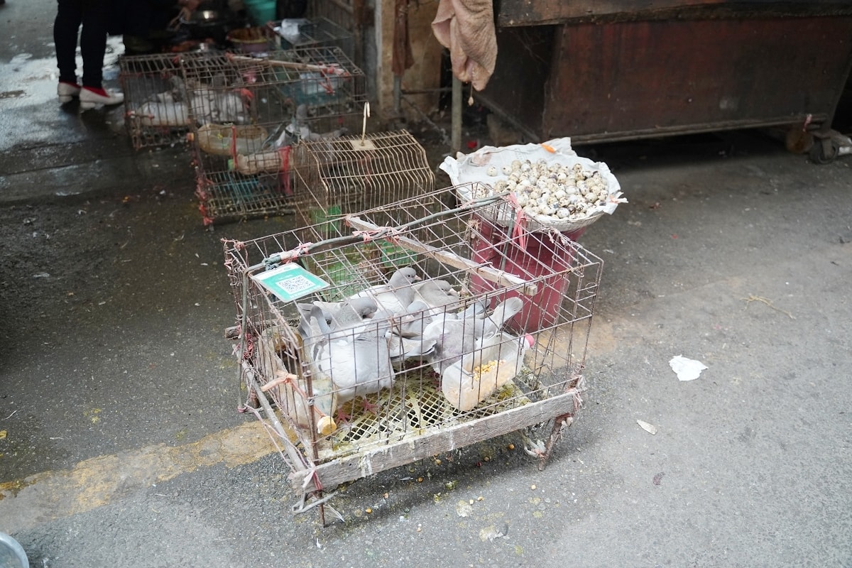 【塘坨農貿市場】湖南懷化洪江在地菜市場 洪江區標志性老牌農貿市場 洪江古商城旅遊必訪