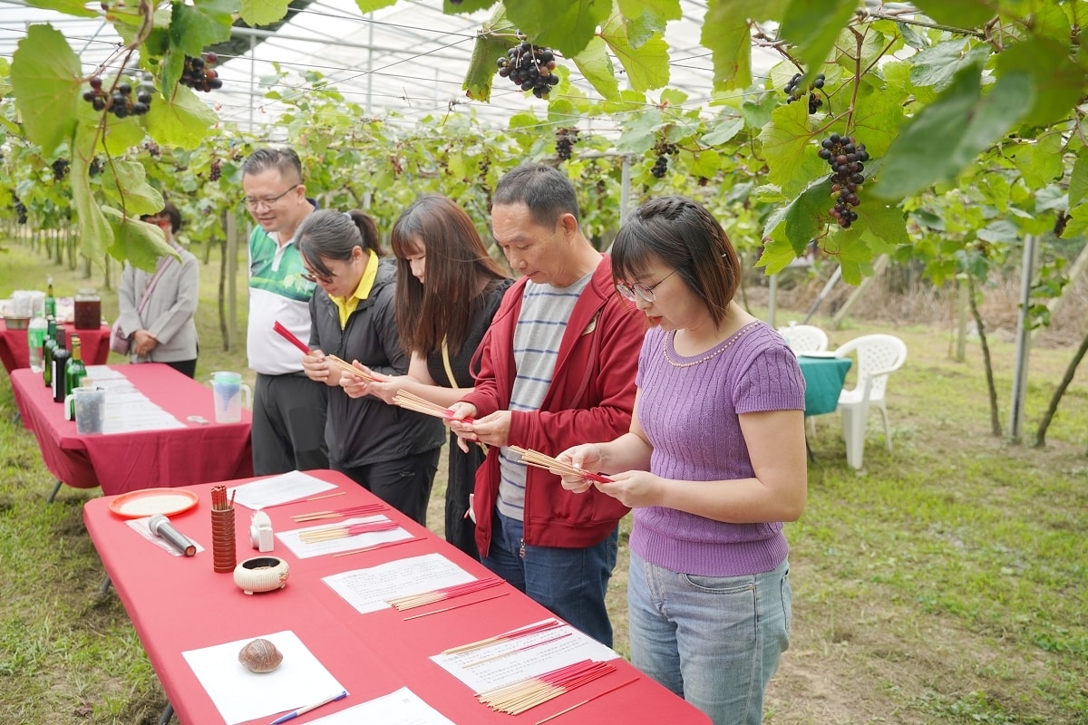【水流東休閒農業區】葡萄樹下易經調酒體驗 易經卜卦選菌釀酒 酒堡庄