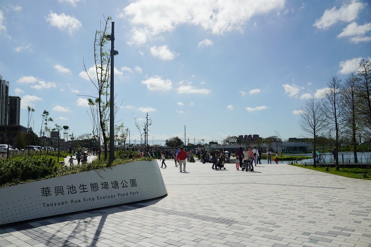【大園親子景點推薦】冒險森林+極限山丘遊戲場 淨水草澤絕美落羽松景色 華興池生態埤塘公園