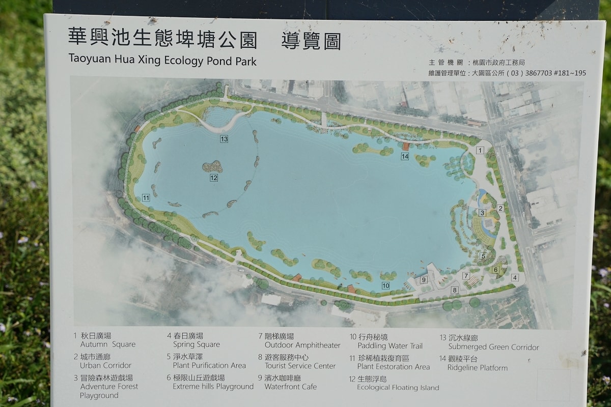 【大園親子景點推薦】冒險森林+極限山丘遊戲場 淨水草澤絕美落羽松景色 華興池生態埤塘公園