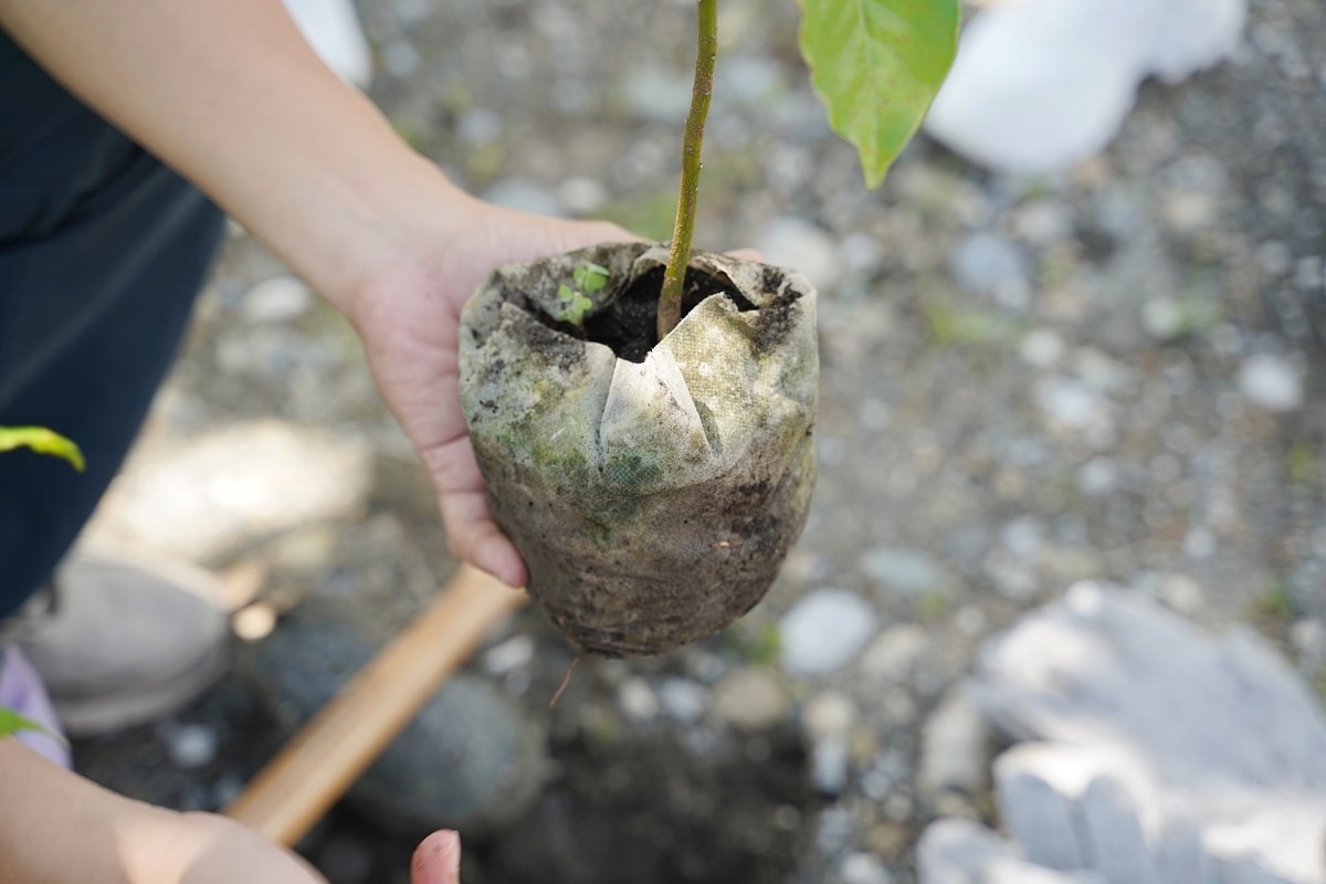 【花蓮零碳旅遊第一站】理想大地森度旅行ESG零碳植樹體驗 種植台灣原生種樹木永續台灣 - 第5張圖 【花蓮零碳旅遊第一站】理想大地森度旅行ESG零碳植樹體驗 種植台灣原生種樹木永續台灣