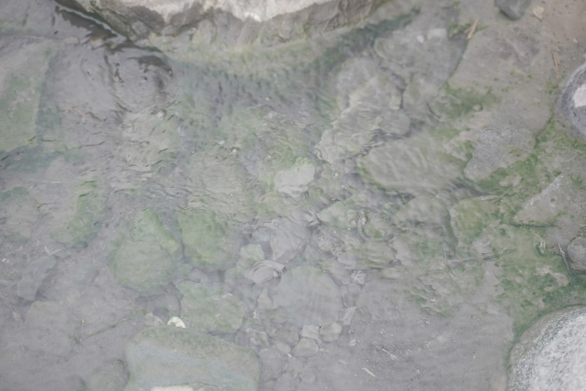 【花蓮玉里免費泡湯推薦】花蓮玉里安通溪無料露天溫泉池 熱氣騰騰野溪溫泉 安通露天野溪溫泉