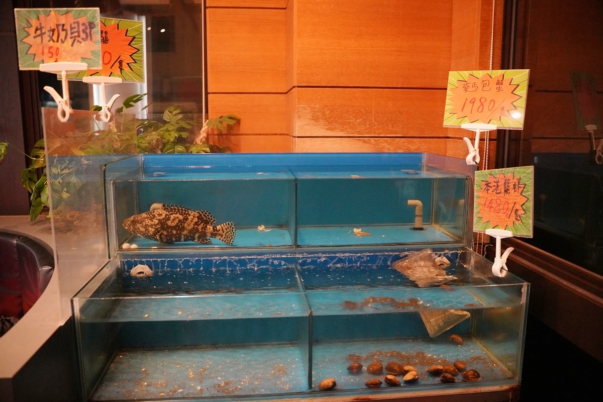 【食鍋性也】青埔美食火鍋吃到飽推薦 鮮魚蛤蜊鮮美甘甜湯頭 超低價+219升級肉品吃的超過癮 - 第4張圖 【食鍋性也】青埔美食火鍋吃到飽推薦 鮮魚蛤蜊鮮美甘甜湯頭 超低價+219升級肉品吃的超過癮