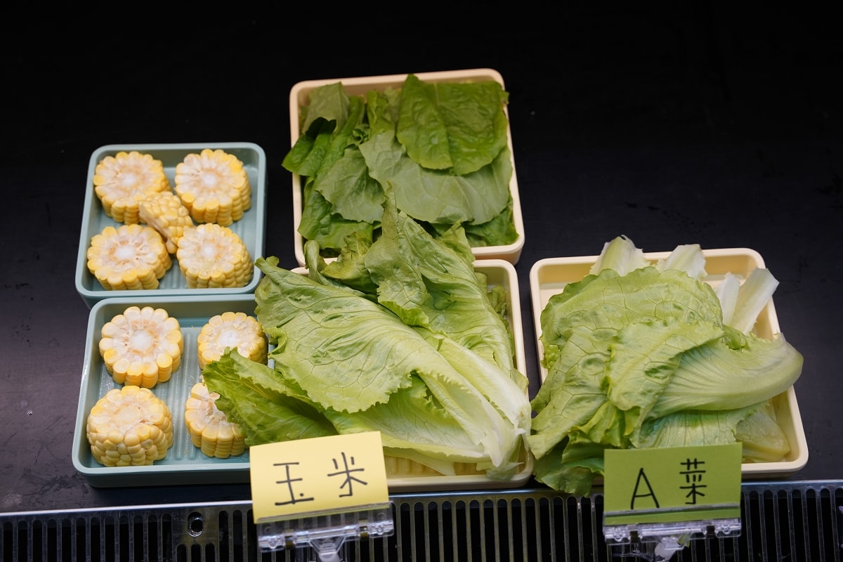 【林口A9環球購物中心美食推薦】全台首家百種串串任選 179元自助吧吃到飽 想干麻串串鍋物城 - 第15張圖 【林口A9環球購物中心美食推薦】全台首家百種串串任選 179元自助吧吃到飽 想干麻串串鍋物城