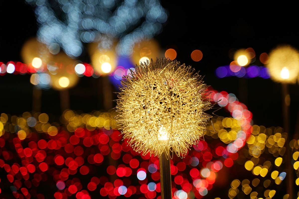 【2025花蓮太平洋燈會】花卉為主題綻放在花蓮日出大道 1/17~2/16花好月圓百花齊放 - 第26張圖 【2025花蓮太平洋燈會】花卉為主題綻放在花蓮日出大道 1/17~2/16花好月圓百花齊放