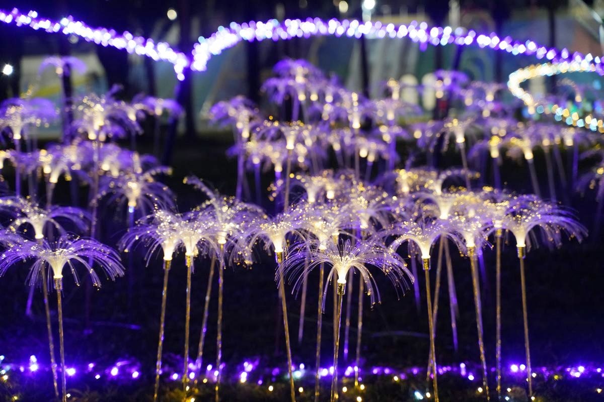 【2025花蓮太平洋燈會】花卉為主題綻放在花蓮日出大道 1/17~2/16花好月圓百花齊放