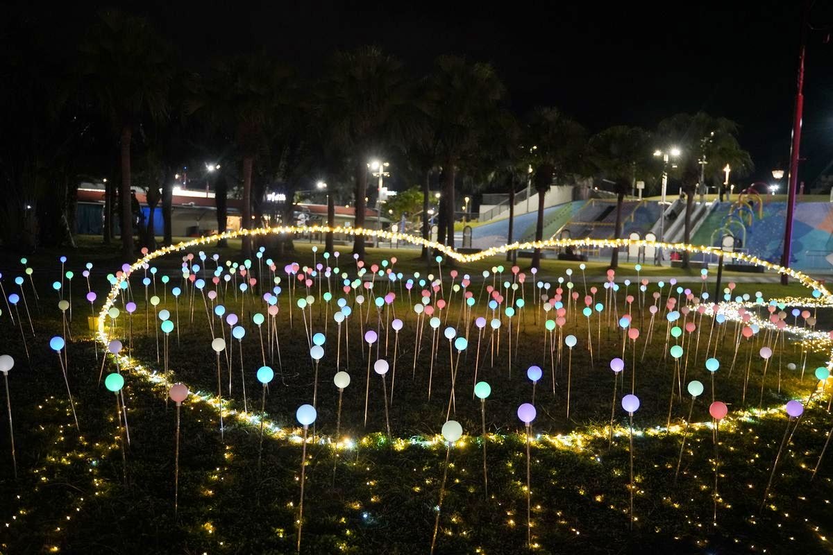 【2025花蓮太平洋燈會】花卉為主題綻放在花蓮日出大道 1/17~2/16花好月圓百花齊放 - 第31張圖 【2025花蓮太平洋燈會】花卉為主題綻放在花蓮日出大道 1/17~2/16花好月圓百花齊放