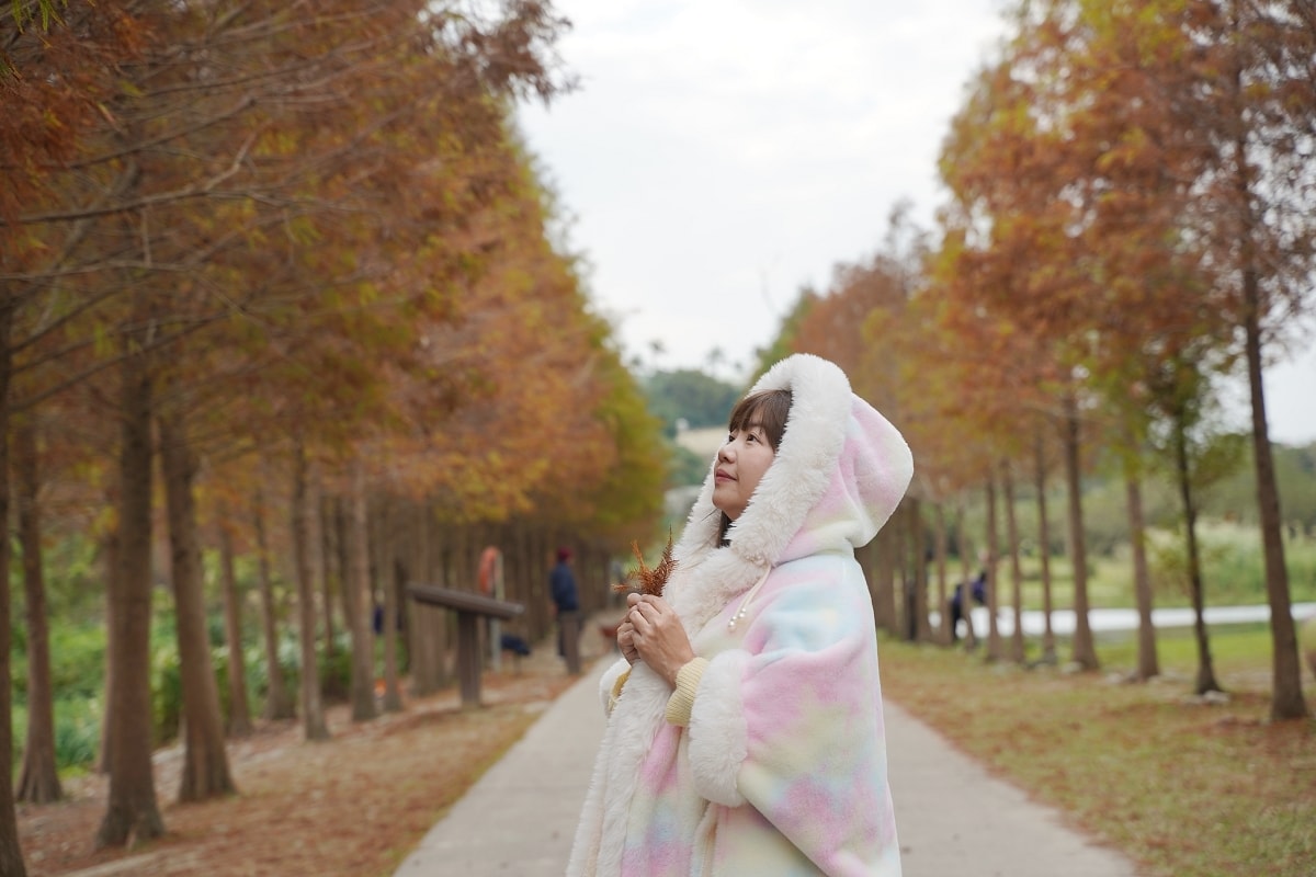 【桃園落羽松景點推薦】大溪落羽松網美景點 免費參觀上百棵水生落羽松 月眉人工濕地落羽松大道 - 第7張圖 【桃園落羽松景點推薦】大溪落羽松網美景點 免費參觀上百棵水生落羽松 月眉人工濕地落羽松大道