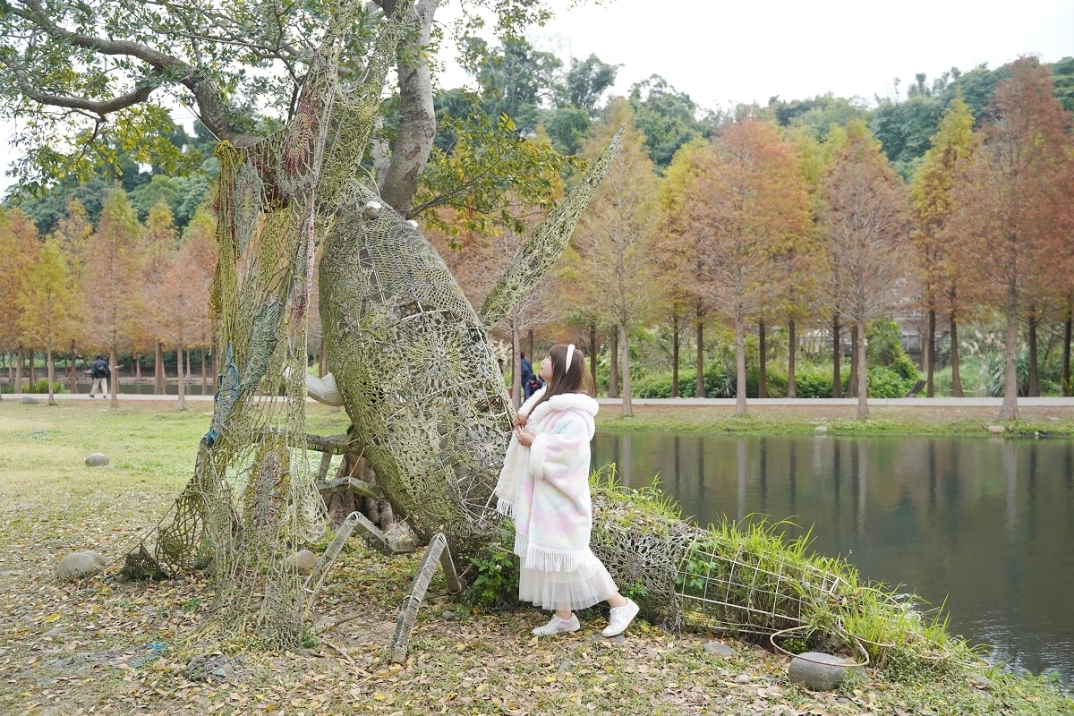 【桃園落羽松景點推薦】大溪落羽松網美景點 免費參觀上百棵水生落羽松 月眉人工濕地落羽松大道 - 第8張圖 【桃園落羽松景點推薦】大溪落羽松網美景點 免費參觀上百棵水生落羽松 月眉人工濕地落羽松大道