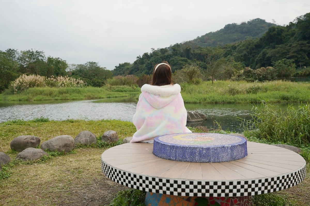 【桃園落羽松景點推薦】大溪落羽松網美景點 免費參觀上百棵水生落羽松 月眉人工濕地落羽松大道 - 第13張圖 【桃園落羽松景點推薦】大溪落羽松網美景點 免費參觀上百棵水生落羽松 月眉人工濕地落羽松大道