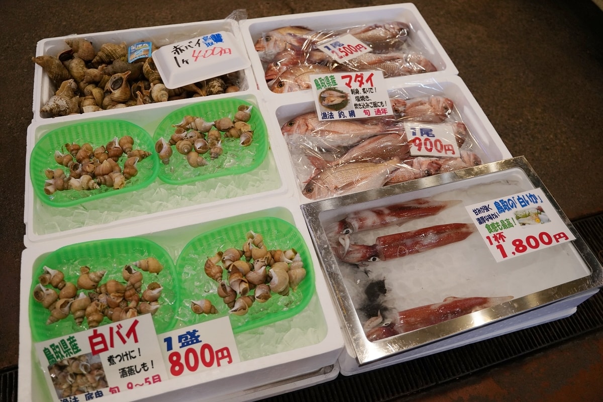 【鳥取賀露市場】鳥取港海鮮市場かろいち 夏季限定夏輝生蠔必吃 當地農特產伴手禮とりっこ廣場