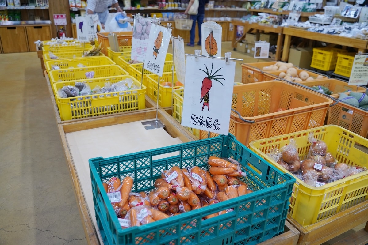【鳥取賀露市場】鳥取港海鮮市場かろいち 夏季限定夏輝生蠔必吃 當地農特產伴手禮とりっこ廣場