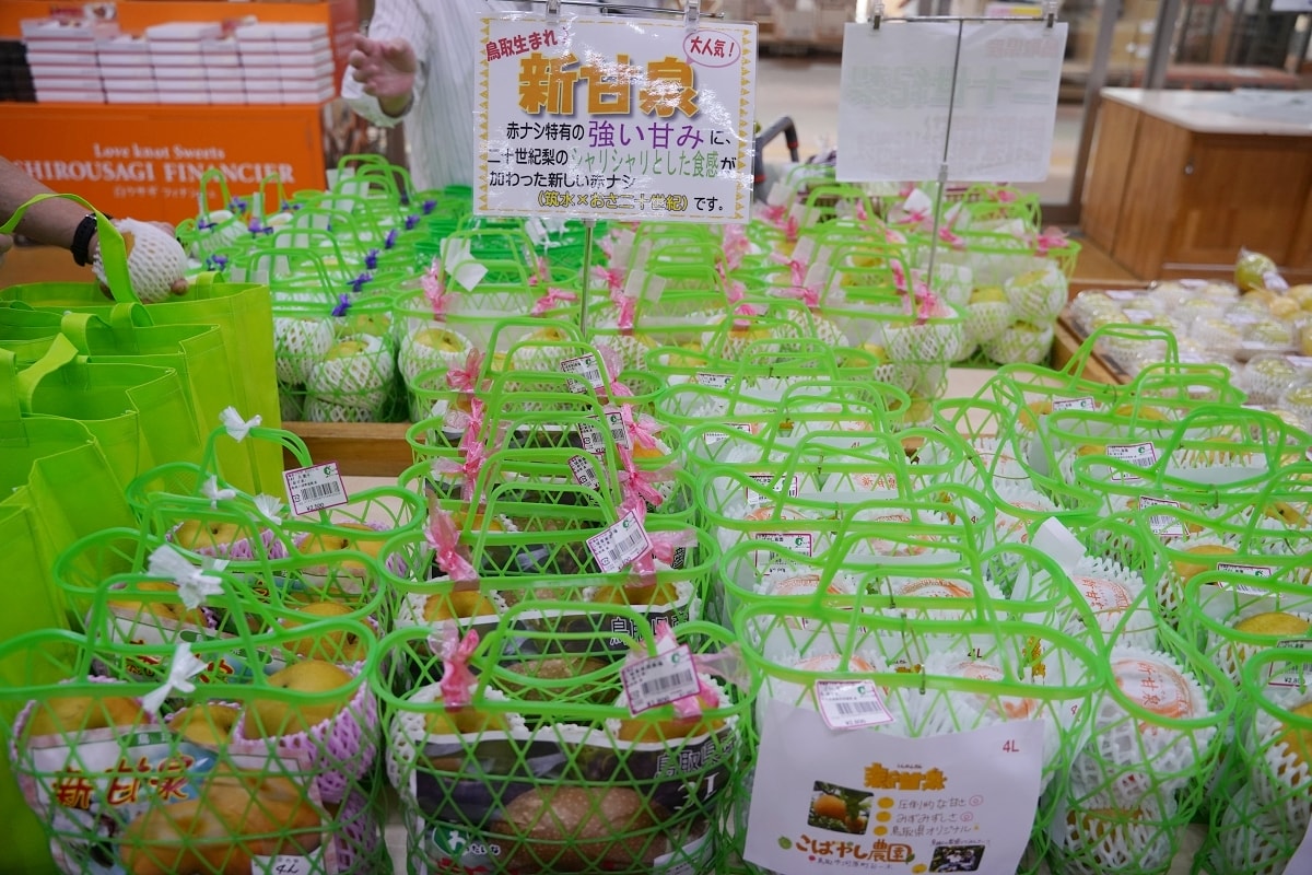 【鳥取賀露市場】鳥取港海鮮市場かろいち 夏季限定夏輝生蠔必吃 當地農特產伴手禮とりっこ廣場