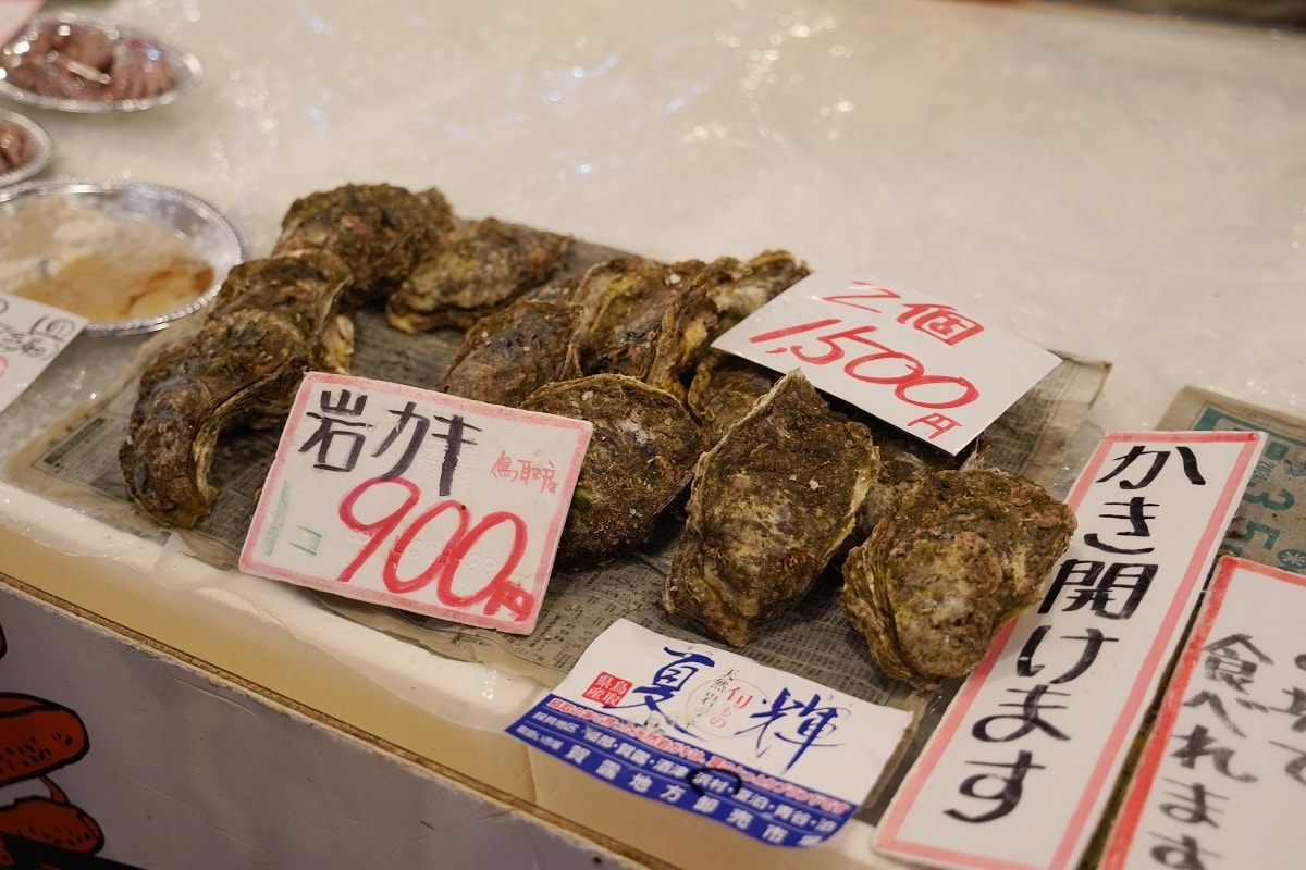 【鳥取賀露市場】鳥取港海鮮市場かろいち 夏季限定夏輝生蠔必吃 當地農特產伴手禮とりっこ廣場