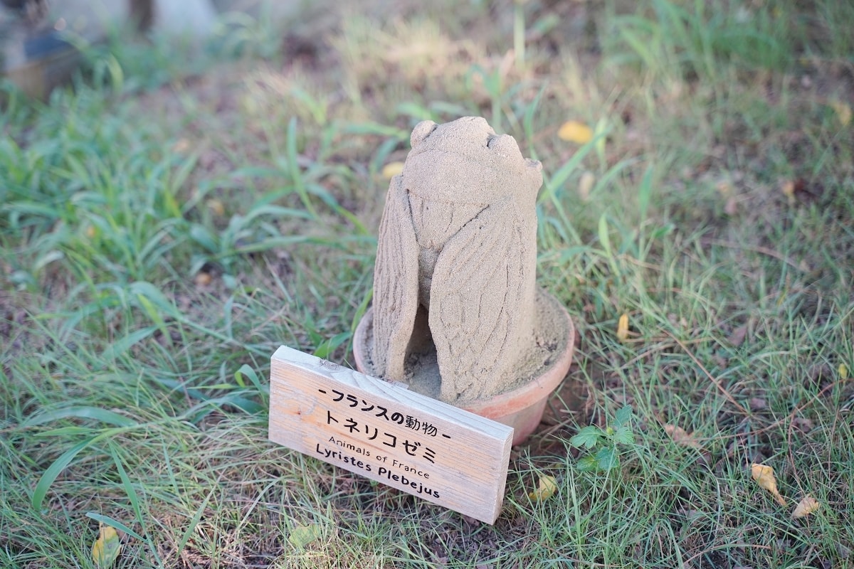 【鳥取室內景點推薦】一期一會藝術沙雕 沙雕環遊世界第15屆展覽法國篇 鳥取砂丘砂之美術館