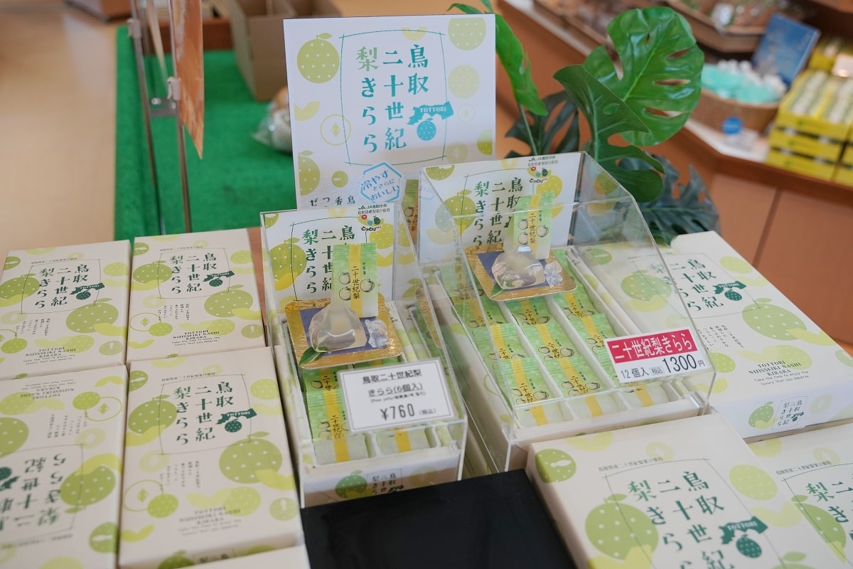 【鳥取室內景點推薦】一期一會藝術沙雕 沙雕環遊世界第15屆展覽法國篇 鳥取砂丘砂之美術館