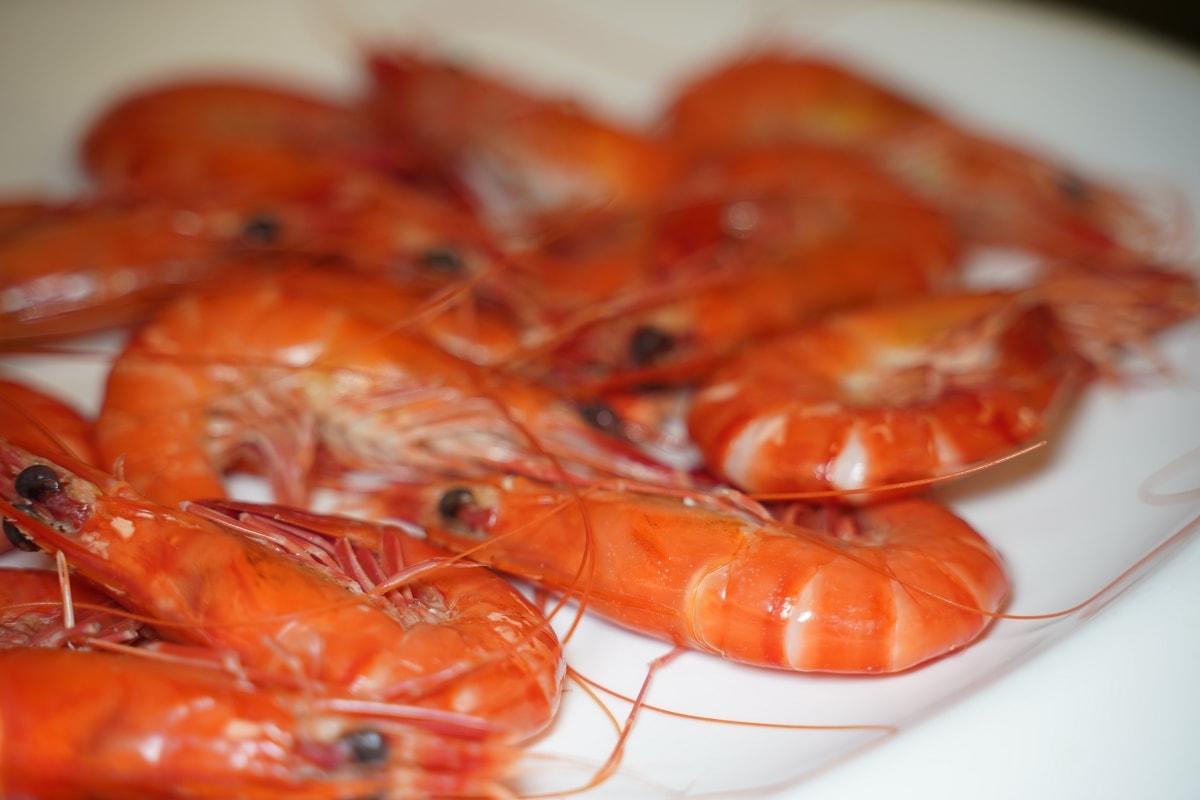 【唐宴海鮮酒家】廣東珠海桌菜料理推薦 美味必點石斛花旗參燉鴨湯/錦繡燒味拼盤/鮮花椒老虎斑