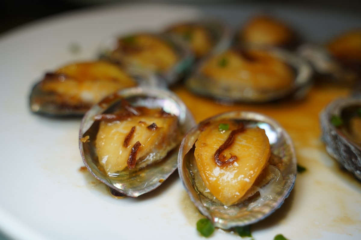 【大隱酒店海韵城店】珠海大劇院日月貝美食推薦 創新粵菜×下午茶×天台清吧用餐模式