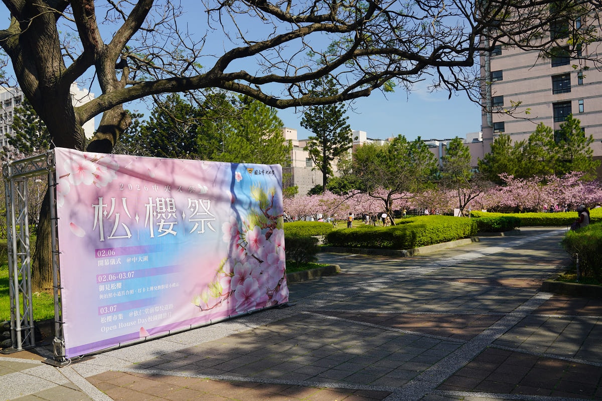 【桃園賞櫻景點推薦】河津櫻美麗綻放 粉紅花海美不勝收 中央大學友好之櫻 - 第3張圖 【桃園賞櫻景點推薦】河津櫻美麗綻放 粉紅花海美不勝收 中央大學友好之櫻