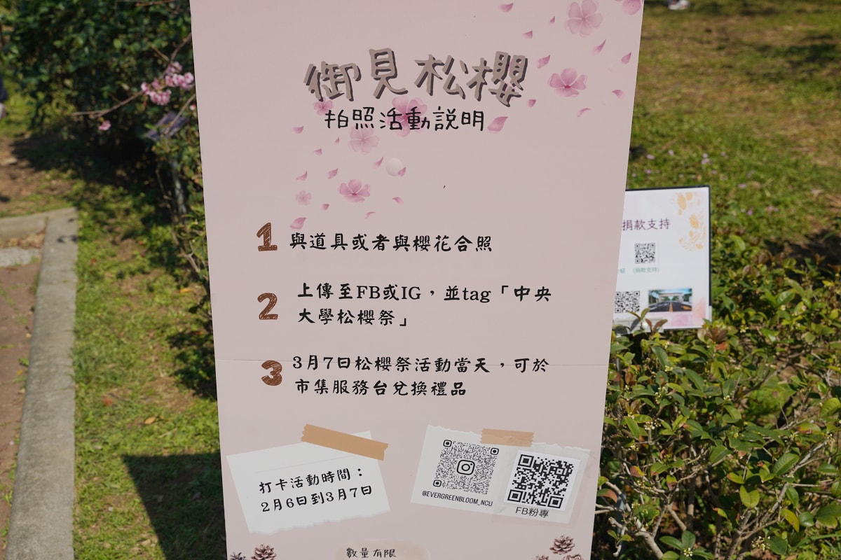 【桃園賞櫻景點推薦】河津櫻美麗綻放 粉紅花海美不勝收 中央大學友好之櫻 - 第5張圖 【桃園賞櫻景點推薦】河津櫻美麗綻放 粉紅花海美不勝收 中央大學友好之櫻