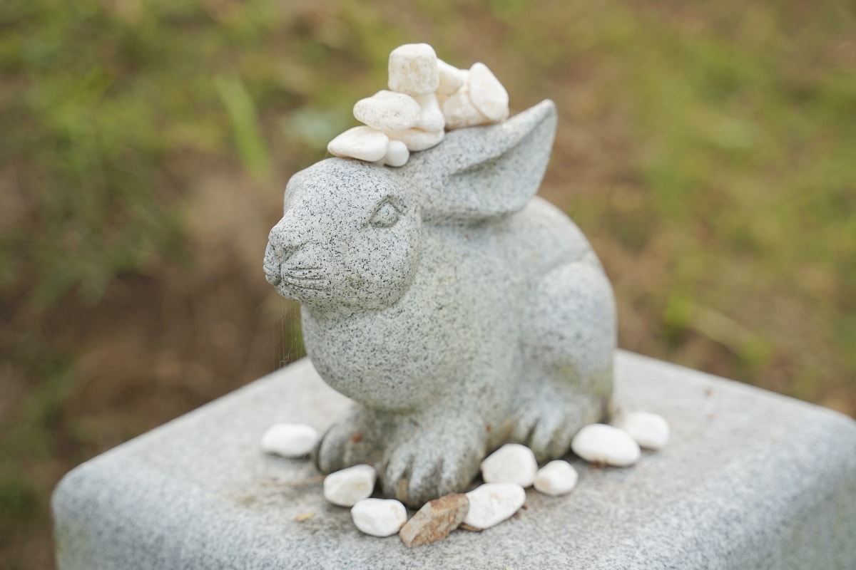 【鳥取神社推薦】日本愛情故事發祥地 情人必訪戀人聖地 白兔神社+白兔海岸+道之驛 神話之里 - 第8張圖 【鳥取神社推薦】日本愛情故事發祥地 情人必訪戀人聖地 白兔神社+白兔海岸+道之驛 神話之里