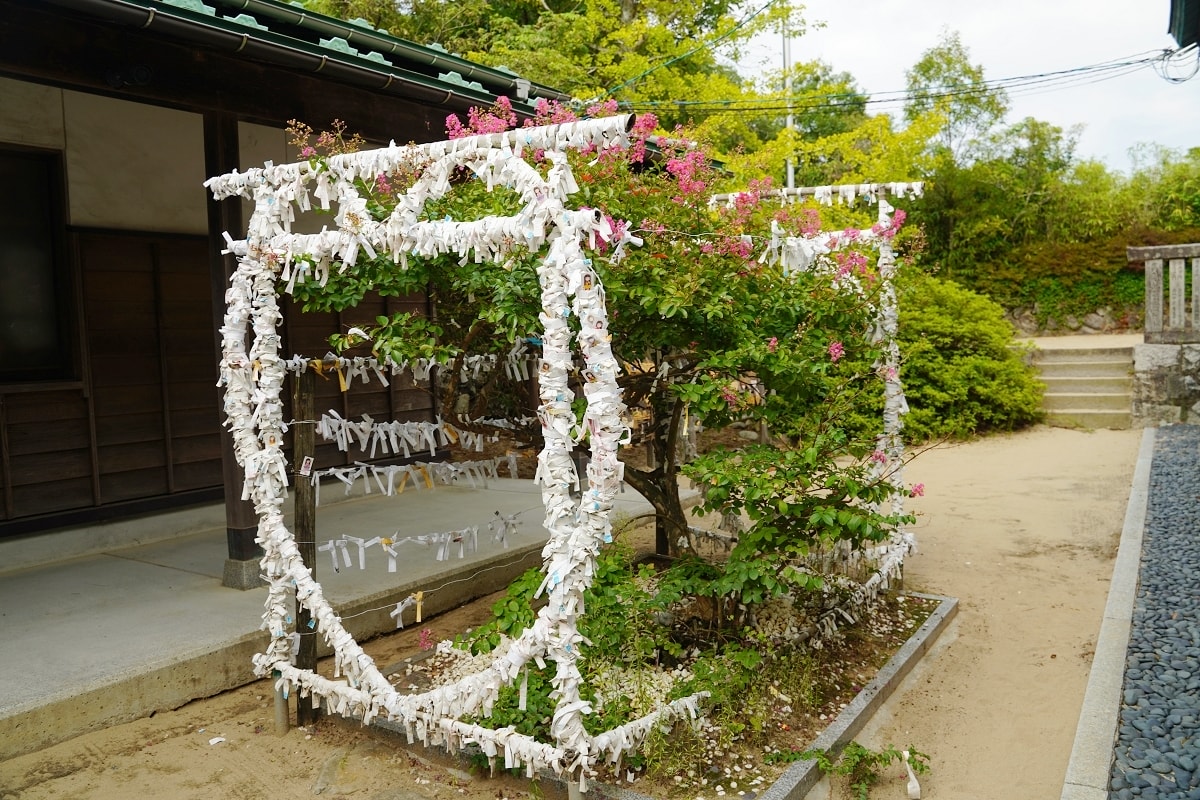 【鳥取神社推薦】日本愛情故事發祥地 情人必訪戀人聖地 白兔神社+白兔海岸+道之驛 神話之里 - 第19張圖 【鳥取神社推薦】日本愛情故事發祥地 情人必訪戀人聖地 白兔神社+白兔海岸+道之驛 神話之里
