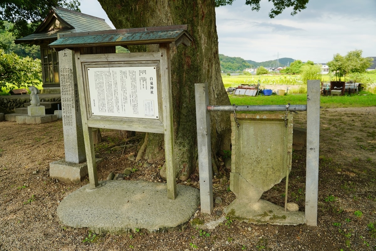 【白兎神社(八頭町福本)】因幡白兔傳說的神社 鳥取千年歷史神社免費景點好選擇 福本白兎神社