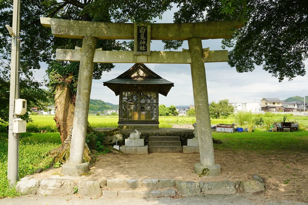 【白兎神社(八頭町福本)】因幡白兔傳說的神社 鳥取千年歷史神社免費景點好選擇 福本白兎神社