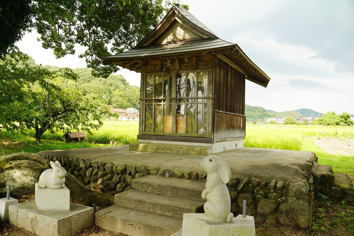 【白兎神社(八頭町福本)】因幡白兔傳說的神社 鳥取千年歷史神社免費景點好選擇 福本白兎神社