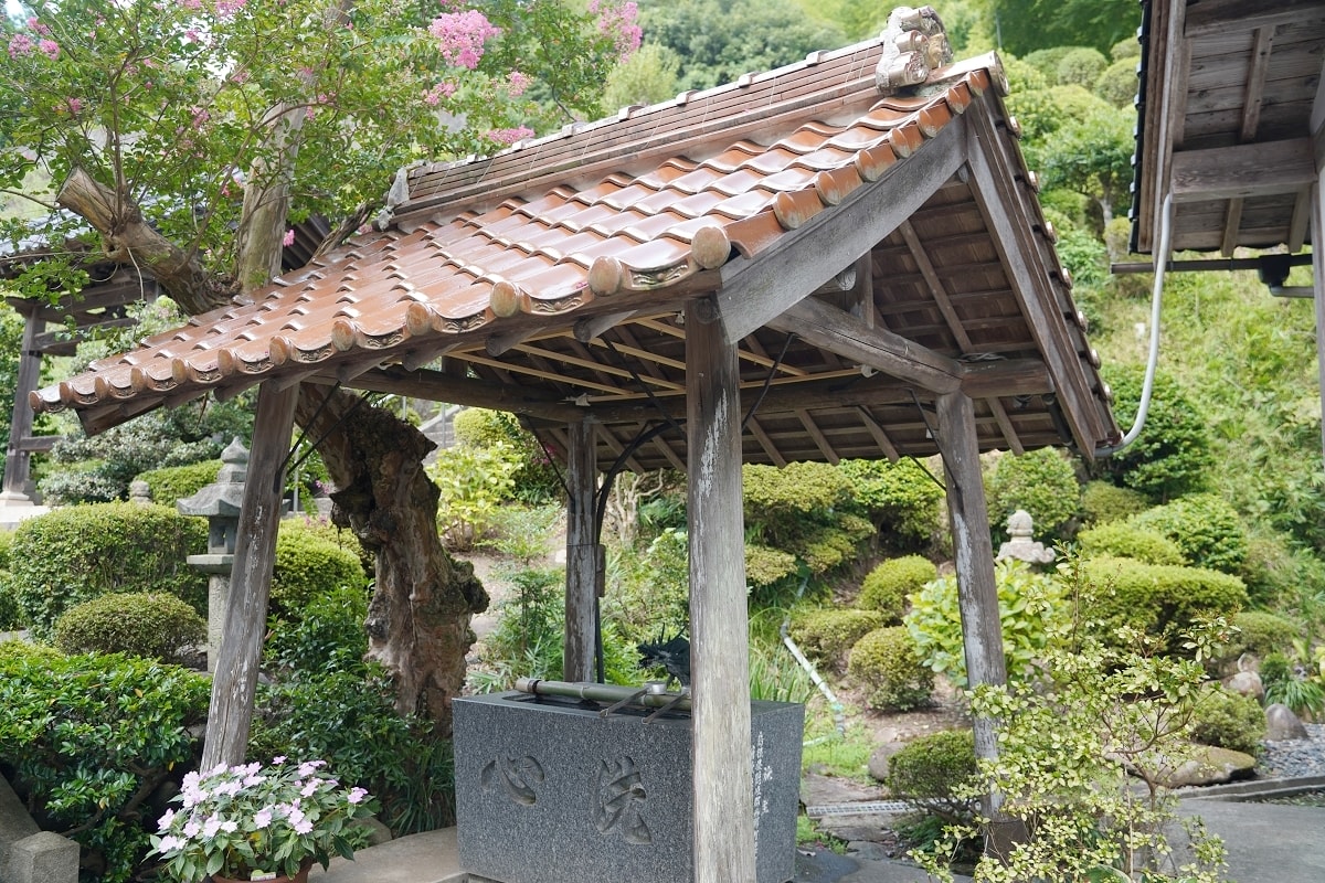 【成田山青龍寺】因幡的成田山 創建於西元710元(和銅3年) 1300多年歷史真言宗寺廟