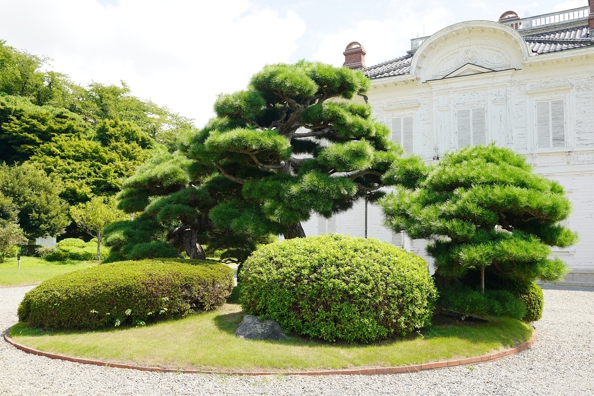 【鳥取免費景點推薦】指定重要文化財「仁風閣」鳥取指定名勝「宝隆院庭園」鳥取城跡(久松公園)