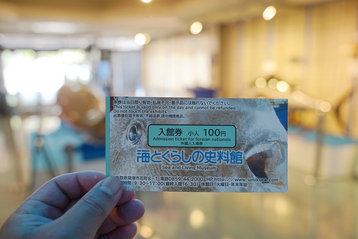 【境港室內景點推薦】一座沒有水的水族館 700種4000件海洋生物標本 海とくらしの史料館 - 第4張圖 【境港室內景點推薦】一座沒有水的水族館 700種4000件海洋生物標本 海とくらしの史料館