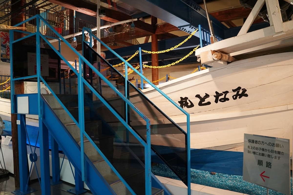 【境港室內景點推薦】一座沒有水的水族館 700種4000件海洋生物標本 海とくらしの史料館 - 第12張圖 【境港室內景點推薦】一座沒有水的水族館 700種4000件海洋生物標本 海とくらしの史料館
