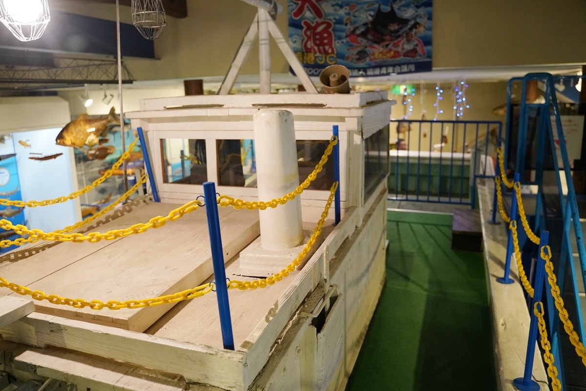【境港室內景點推薦】一座沒有水的水族館 700種4000件海洋生物標本 海とくらしの史料館 - 第13張圖 【境港室內景點推薦】一座沒有水的水族館 700種4000件海洋生物標本 海とくらしの史料館