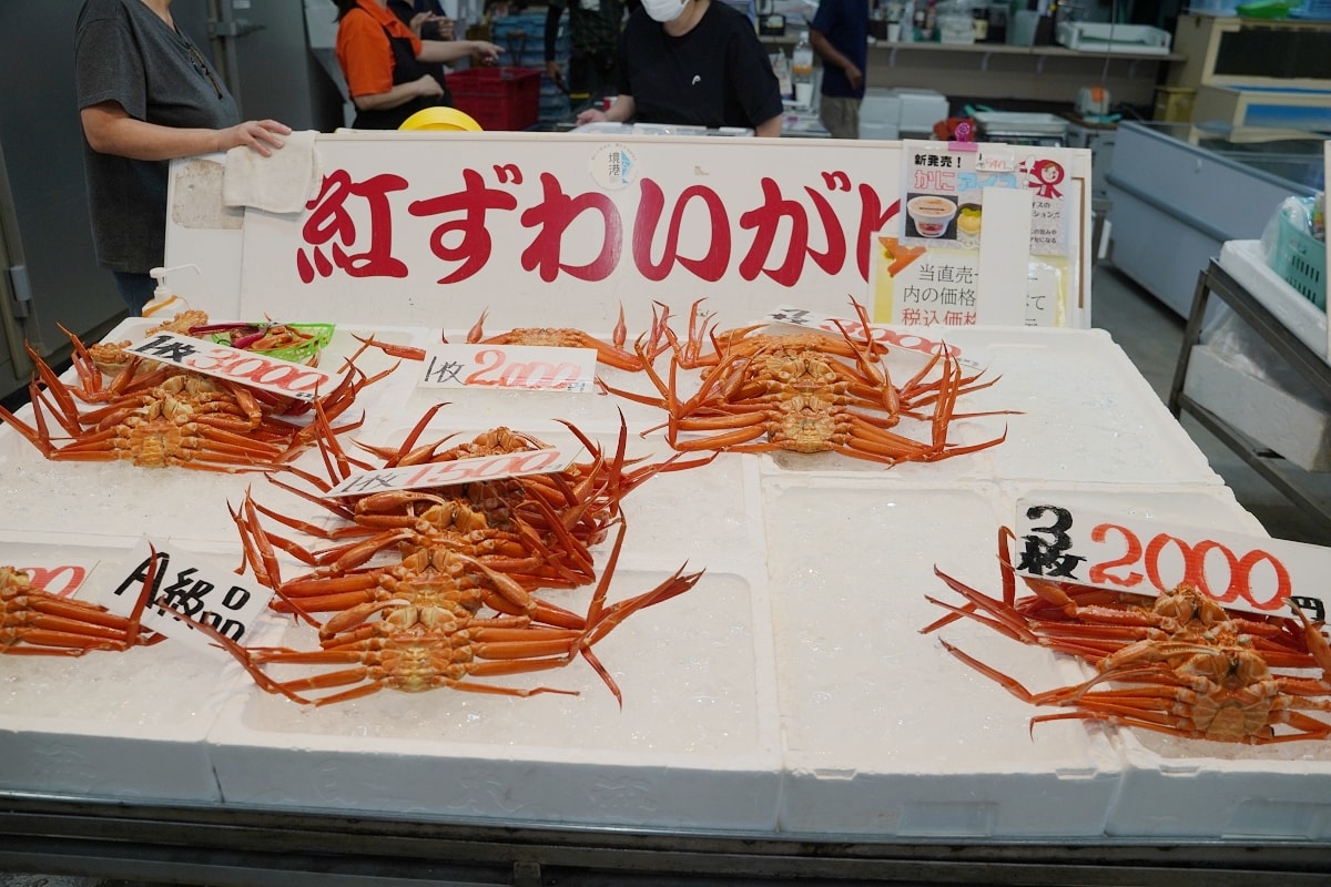 【境港水產直賣中心】蟹控天堂高CP值鳥取蟹 爆吃紅ずわいがに/紅楚蟹 境港水產品批發中心 - 第10張圖 【境港水產直賣中心】蟹控天堂高CP值鳥取蟹 爆吃紅ずわいがに/紅楚蟹 境港水產品批發中心
