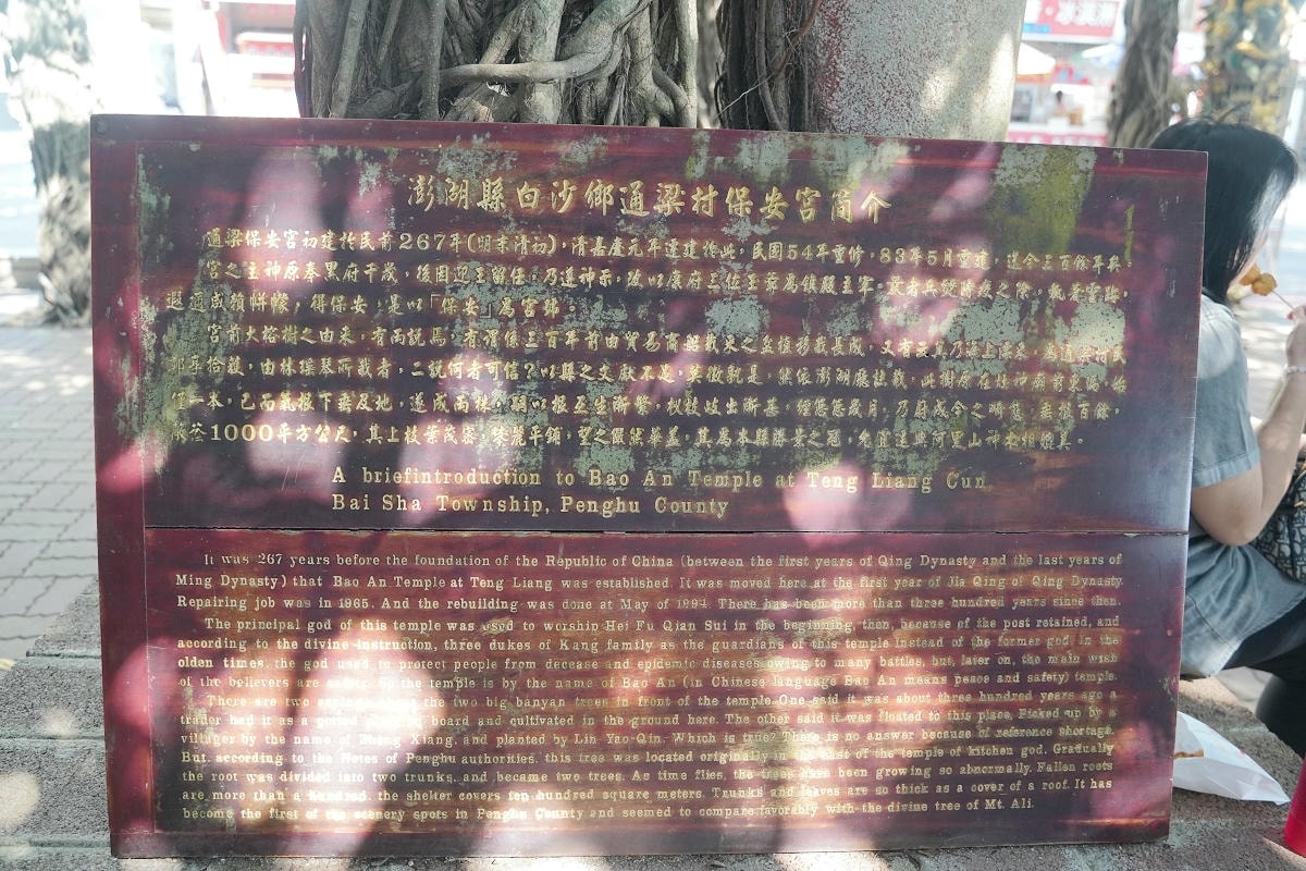 【通樑古榕】澎湖免費景點好選擇 樹齡三百多年老榕樹 澎湖綠蔭最大神木 鄰近澎湖跨海大橋