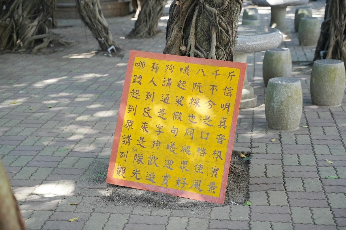 【通樑古榕】澎湖免費景點好選擇 樹齡三百多年老榕樹 澎湖綠蔭最大神木 鄰近澎湖跨海大橋