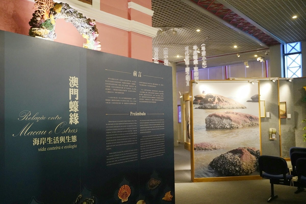 【海事博物館】澳門免費景點推薦 創立於1987年海事航海主題博物館 澳門親子景點免費水族館