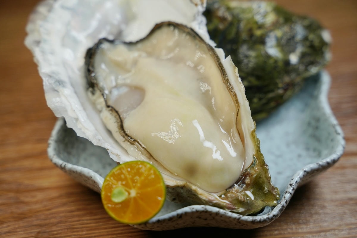 【旭苑大眾酒場】桃園居酒屋推薦 創新日式料理美味上桌 推薦菜色免費玩吃角子老虎機