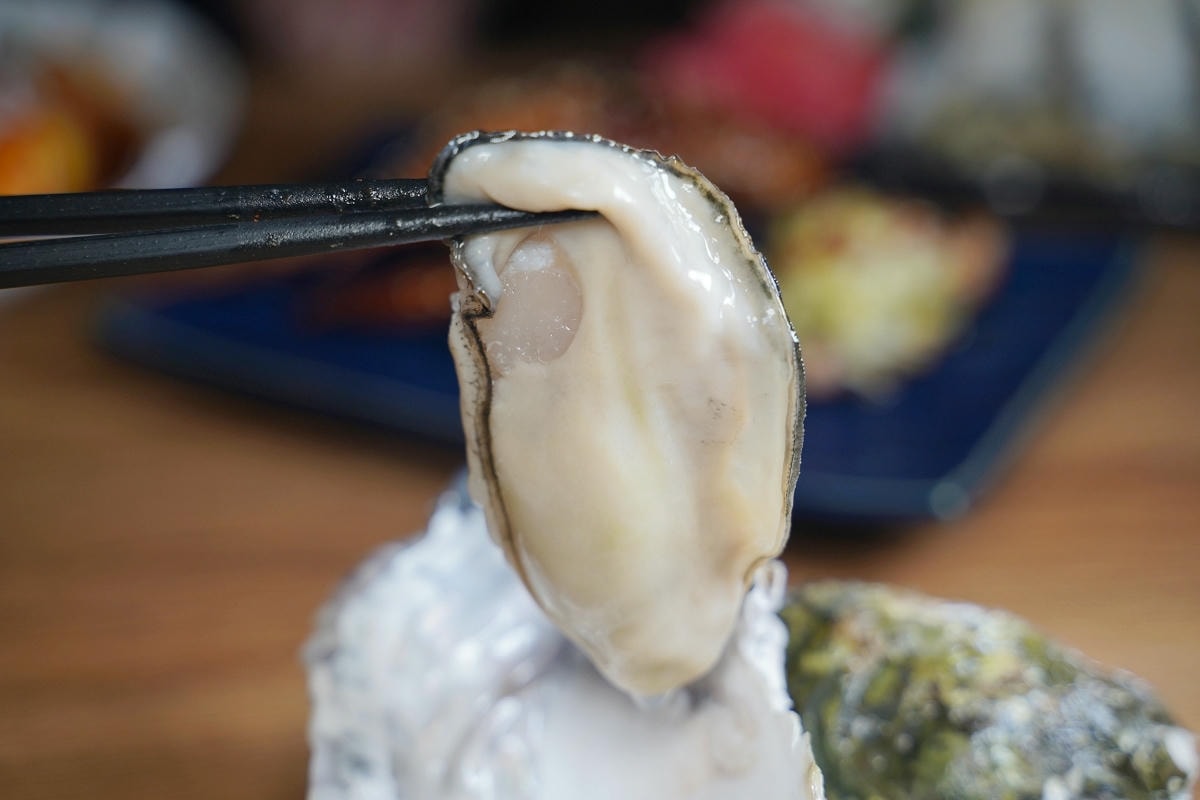 【旭苑大眾酒場】桃園居酒屋推薦 創新日式料理美味上桌 推薦菜色免費玩吃角子老虎機