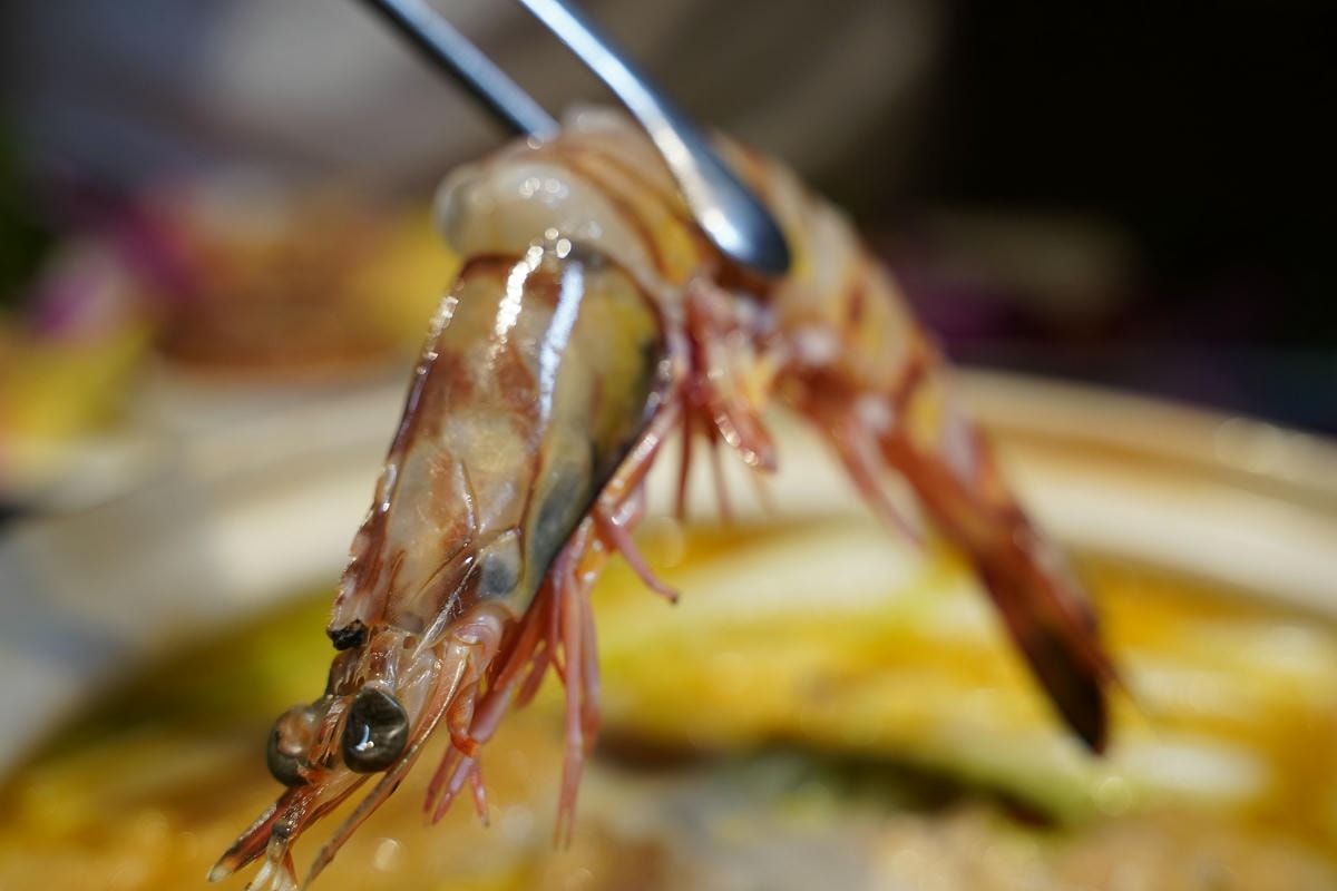 【星曜雞湯】台北中山區濃郁系雞湯火鍋 欣欣百貨內超人氣美食餐廳 商務聚餐包廂超人氣模特之夜